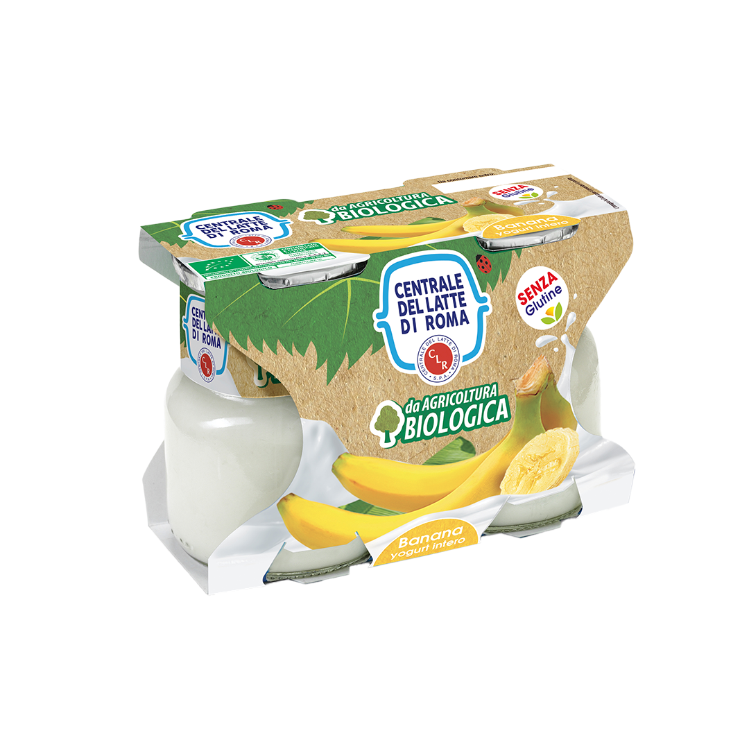 Yogurt Bio frutta