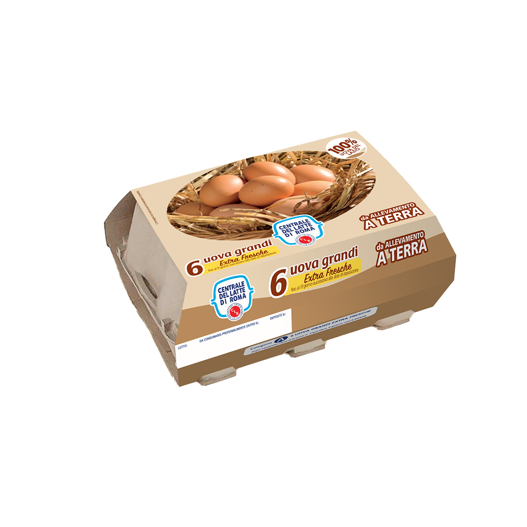 Uova