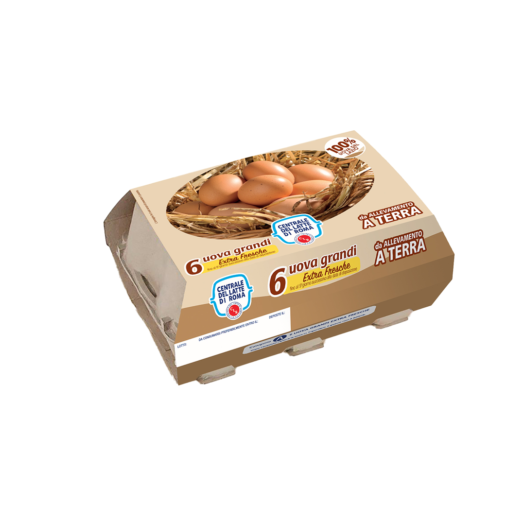 Uova